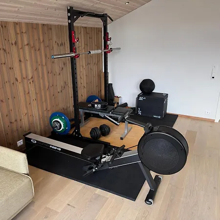 公寓 Living In A Nikolai Astrup Motif 96m2 *