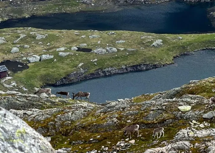 Living In A Nikolai Astrup Motif 96m2 Vassenden