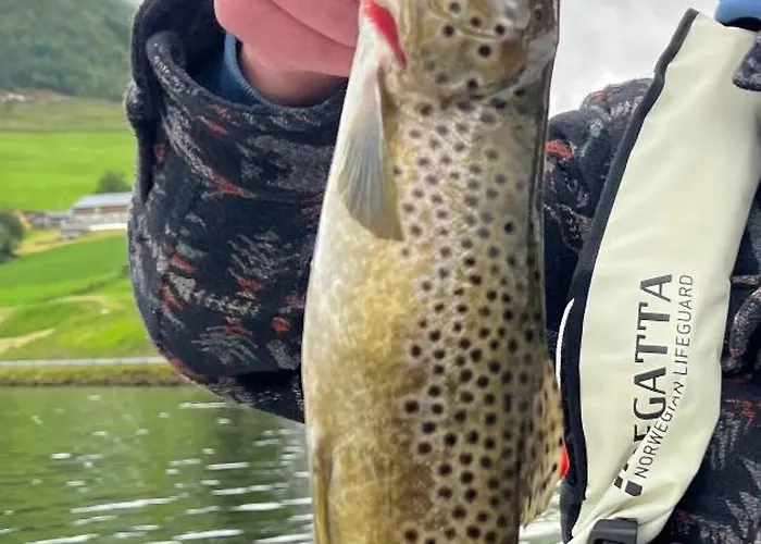 Living In A Nikolai Astrup Motif 96m2 公寓 *